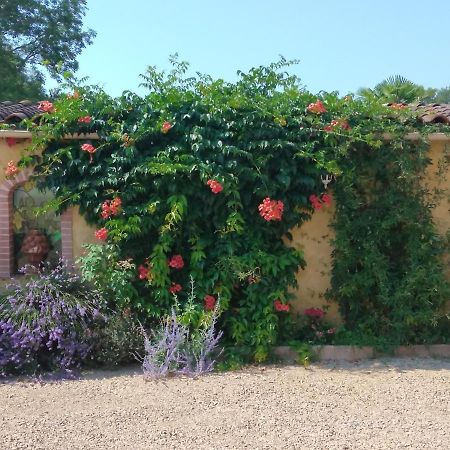 Albi A Proximite, Maison D'Hotes Les Oliviers Rosieres  Exterior foto